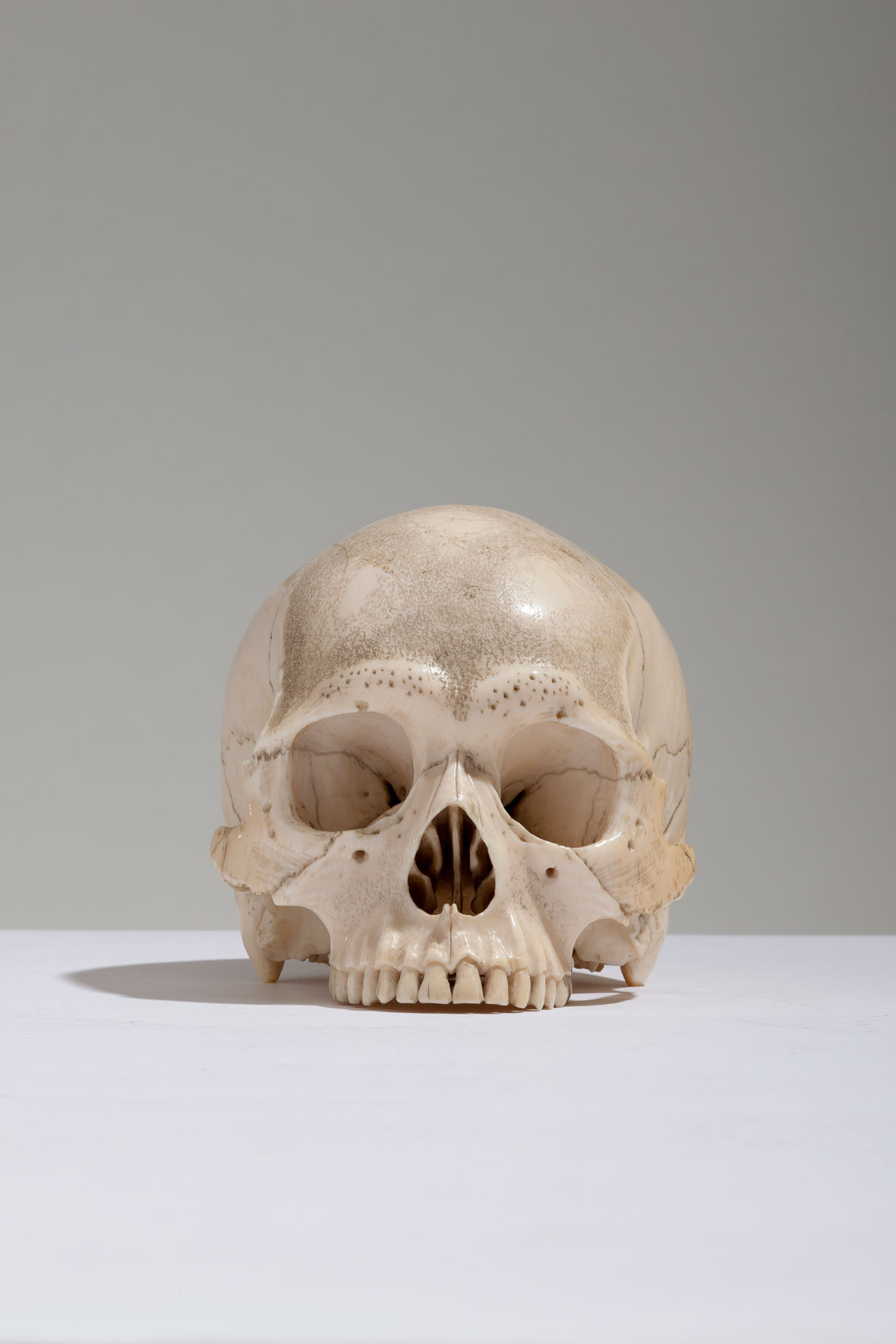 Japanese Ivory Skull by Shosai